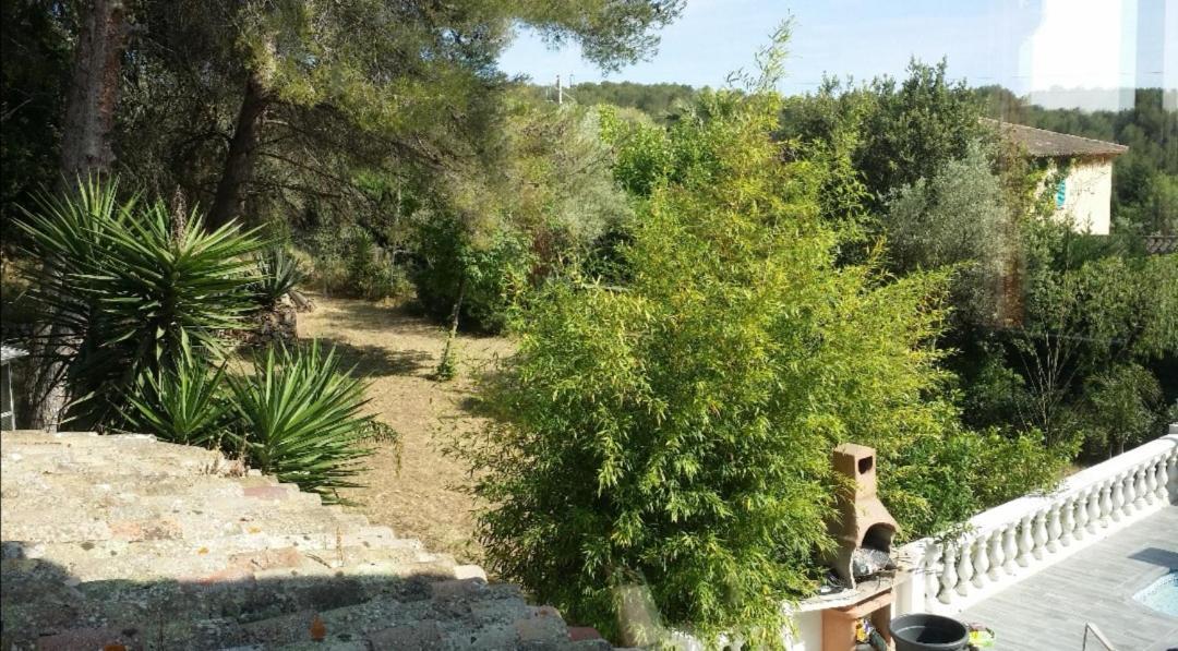 Appartement Pinede Man Yelle サナリー・シュル・メール エクステリア 写真